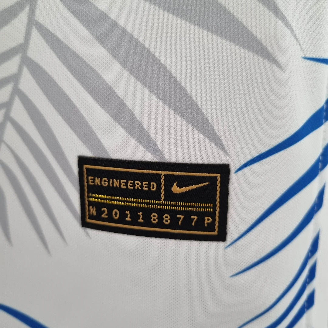 Brasilien "Blau" Konzept 2022