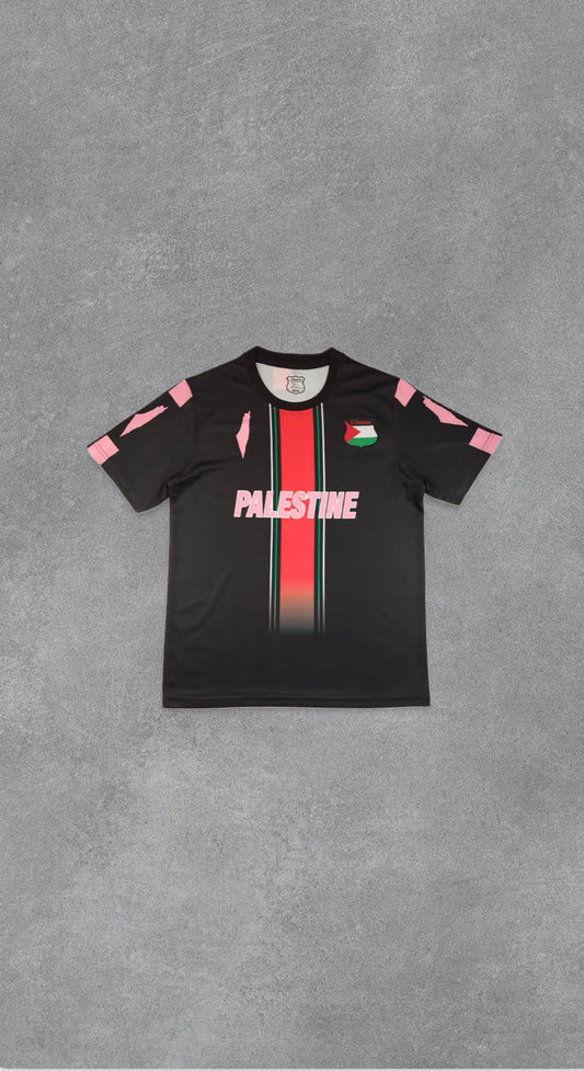 Palästina "Wassermelone" Konzept 2025