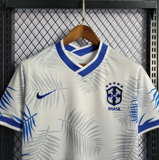 Brasilien "Blau" Konzept 2022